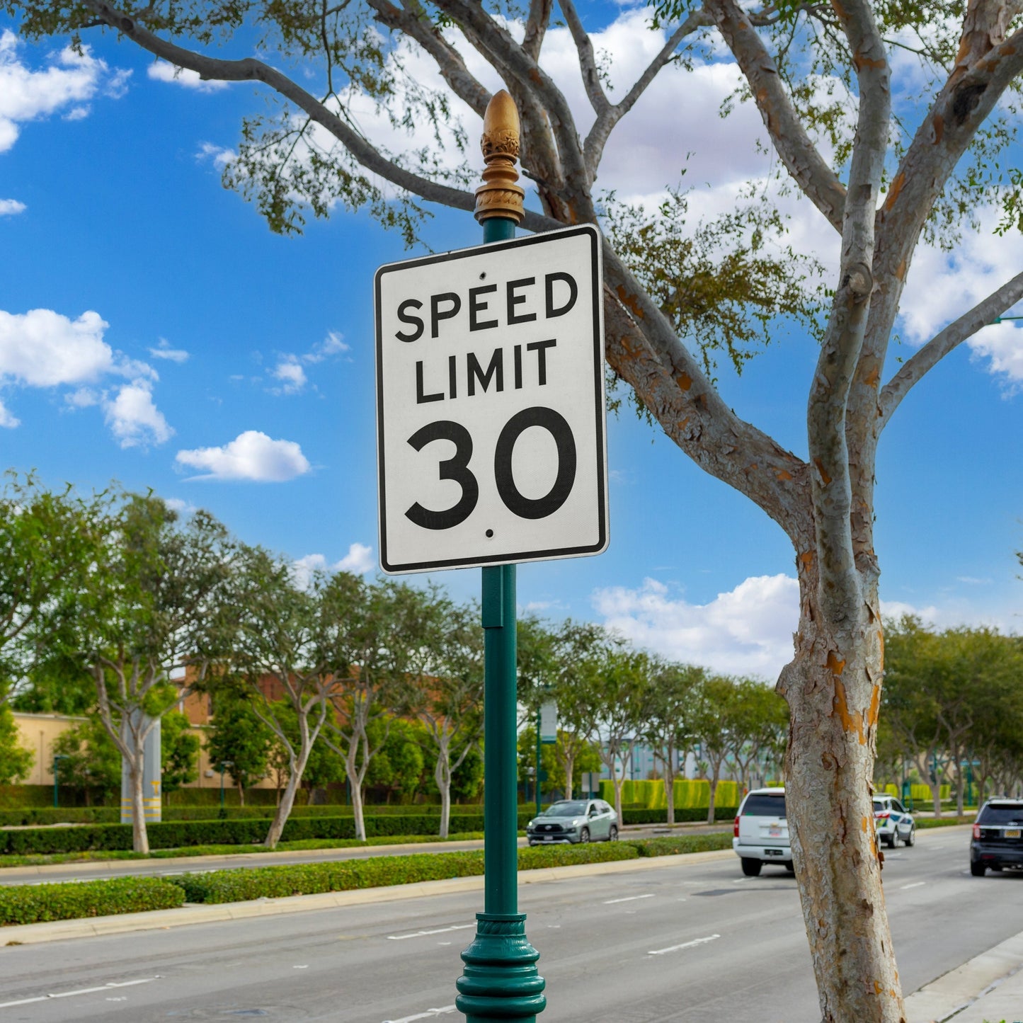 Black EC on speed limit sign